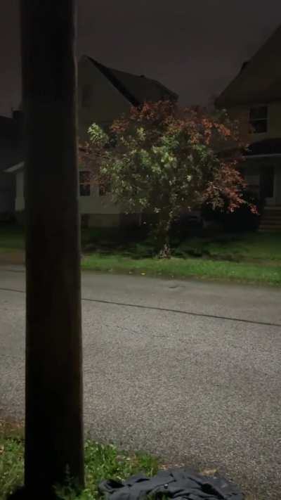 How can I progress in videography