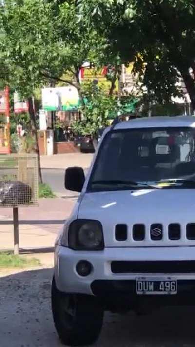 El que quiere puede, fin del post