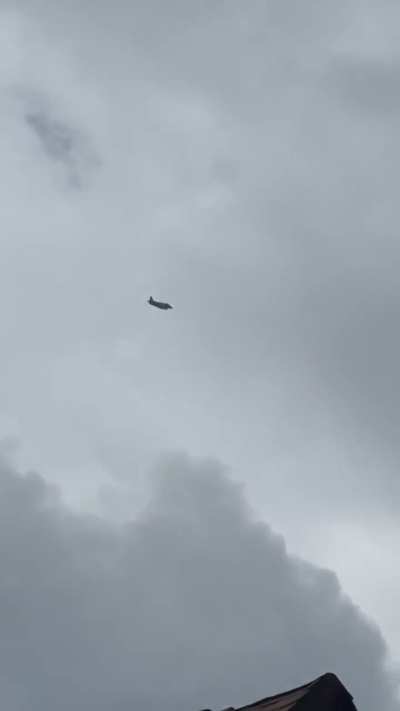 Harrier flying over me today