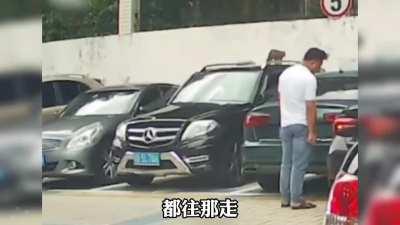 Why are cats so curious