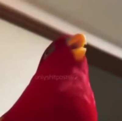 Ok, yes? Agree? Recognized?