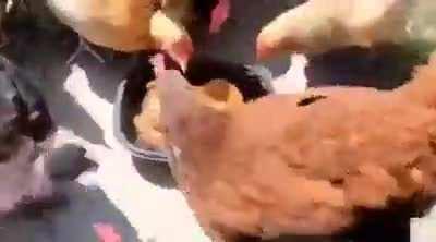 We live in a society