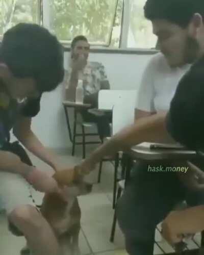 cachoco fofo🥰😊