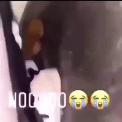 Footage of dababy in high school