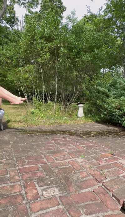 Was absolutely busting and decided to try a new position ☺️