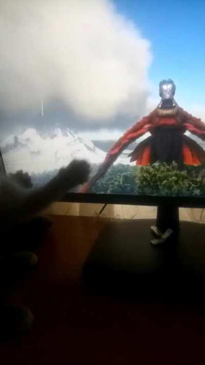 sabertooth attack my argy