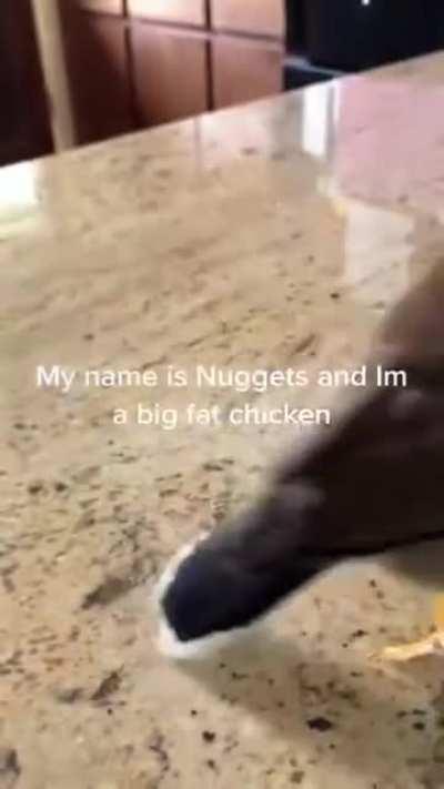 This is how these TicTokkers faking Tourettes look