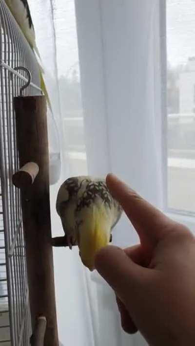 When you are ready to kill but you'd still accept caresses.