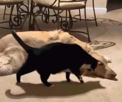 MRW i have to make the first move