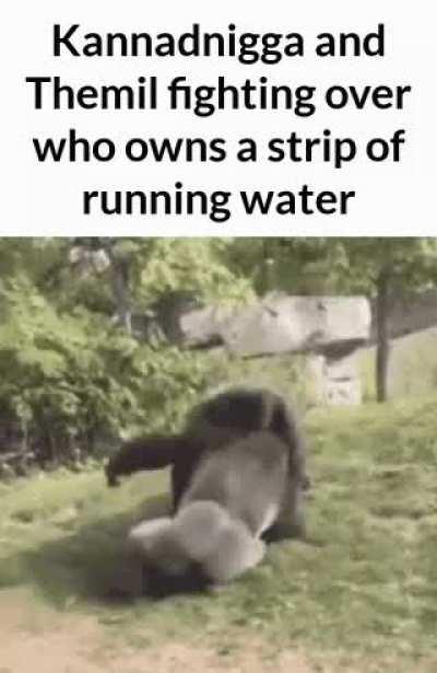 Kaverite problems😹😹😹😹😹😹