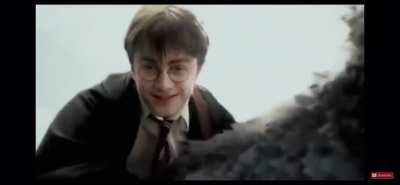 Harry Potter, war criminal