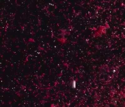 Horrible or hilarious ?