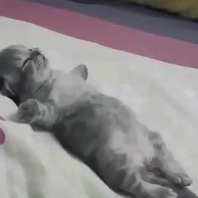 Don't worry fabio at the end of this month we're gonna share the Bill's here😼