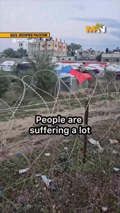 Gaza's youngest journalist, Lama Jamous, on the lack of world response to the suffering in Gaza