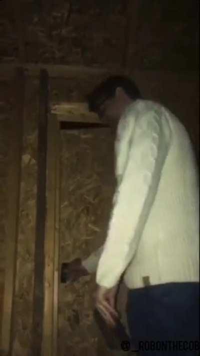 Why you should never trust celebrities.