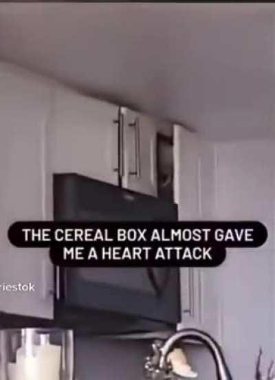 Cereal Box. The Master of Spying. Inducer of fear.