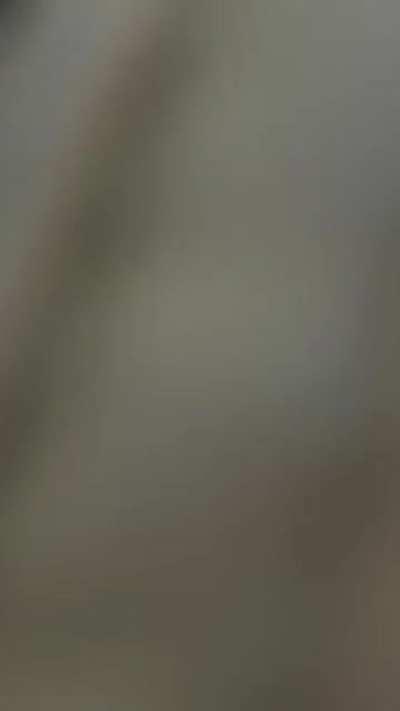 Elephant wasn’t bluffing