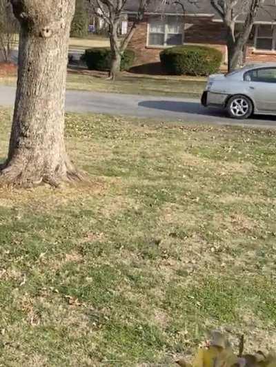 The sound of the Nissan Altima that always drives past my house.