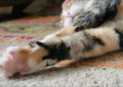 Happy murder mittens