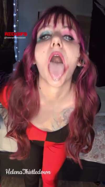 Eager little harlequin