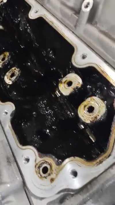 how nice, fudge cake.