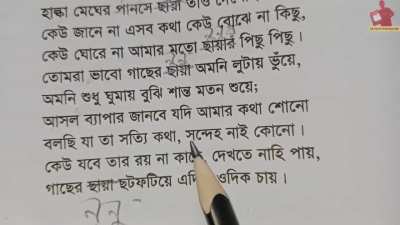 কবিতা - নুনুবাজি