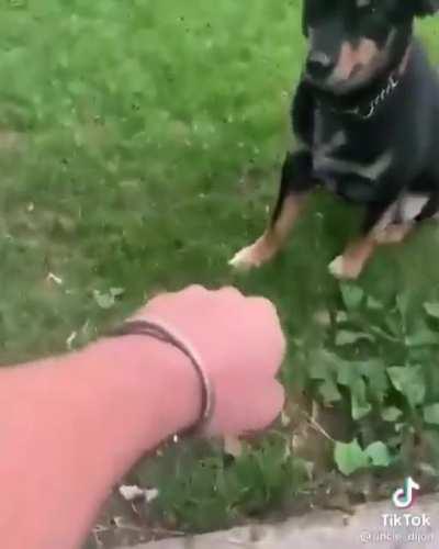 Since you laughed at the first one I got you a pt2