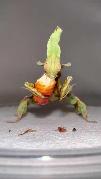 This left me dumbfounded for 5 minutes...