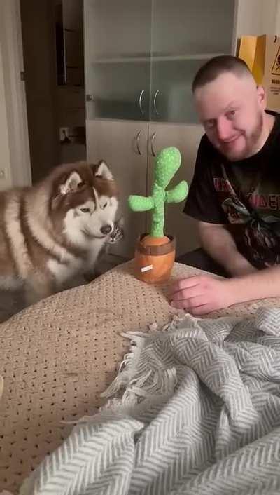 Боже, с кем мне приходиться жить