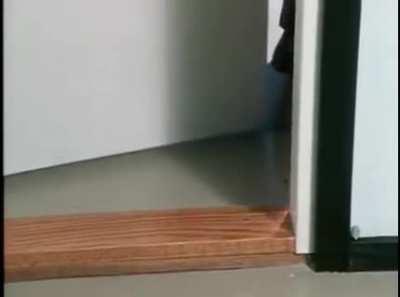 How to open a door - Finnish instructional video from 1979