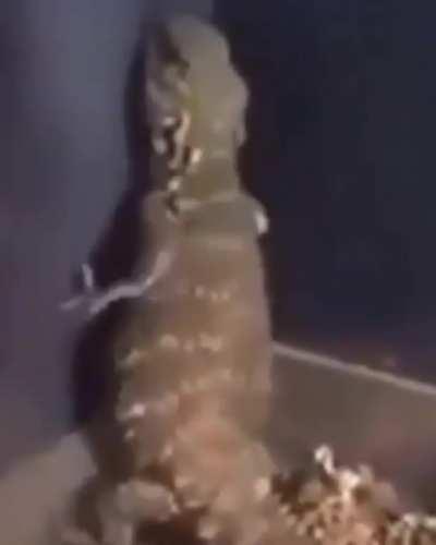 Invest and have a good night✨