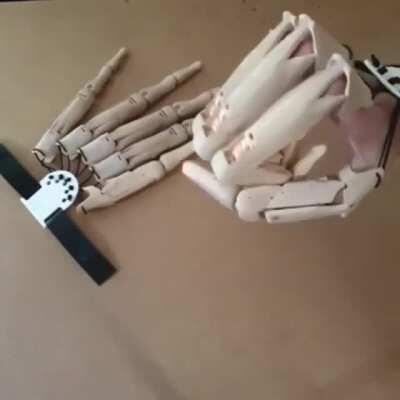 These articulated finger extensions