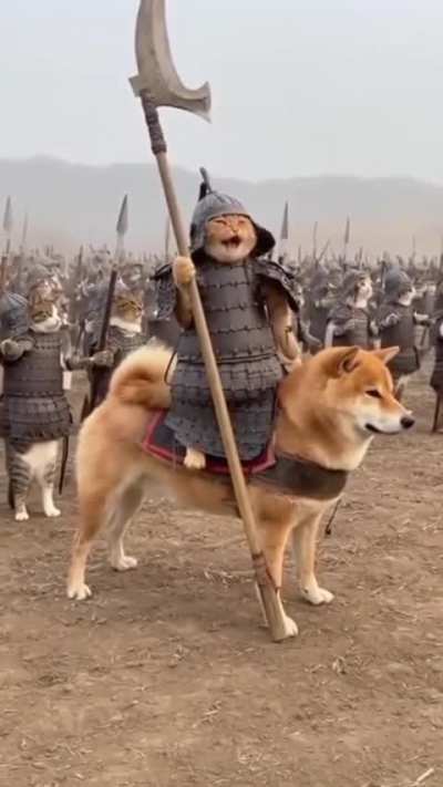 New movie coming out soon