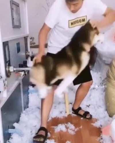 You can literally see the 