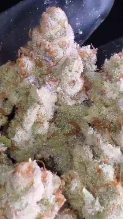 High-octane #troyscut