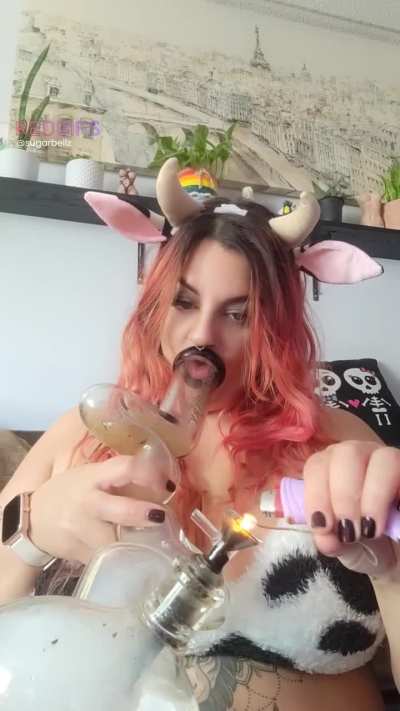 This cow smokes her grass but occasionally eats it