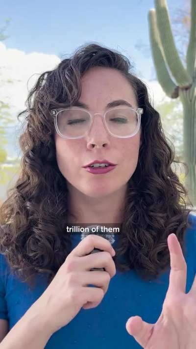 100 Trillion Neutrinos Just Passed Through You