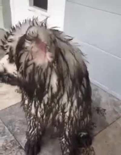 The apple doesn't fall far from the tree…