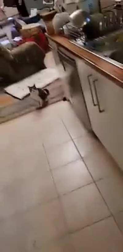 The kind of videos my close 