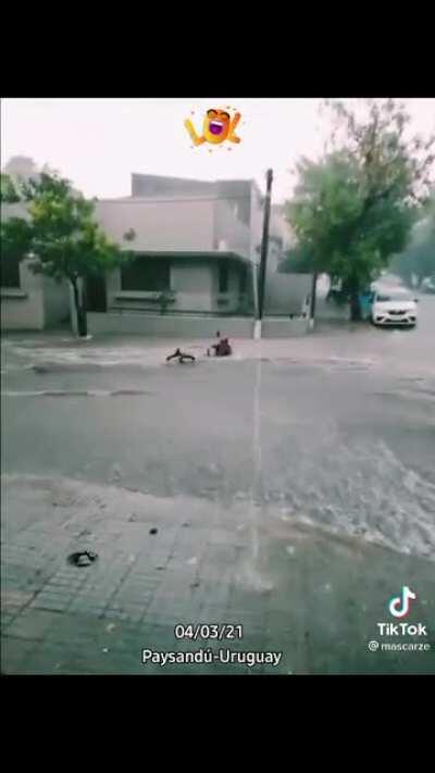 Y se marcho, a su barco lo llamó, Libertad