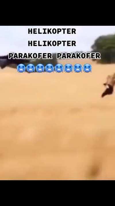 Helikopter Helikopter parakofer parakofer