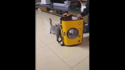 Very funny moments of animals ...