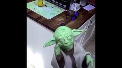 Chito slaps Yoda