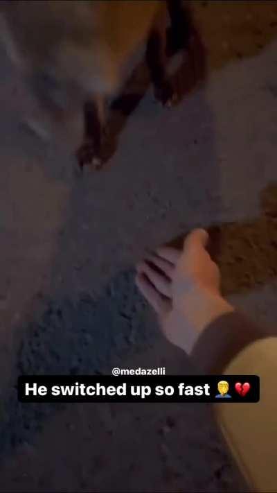 average animal interaction