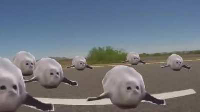 Time to bring back this bad boy