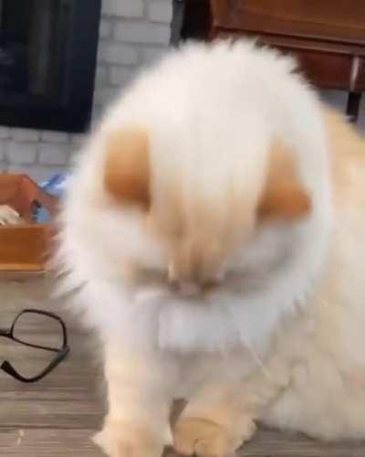 Hey, you with the thumbs...