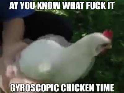Chicken stabilised (must see)