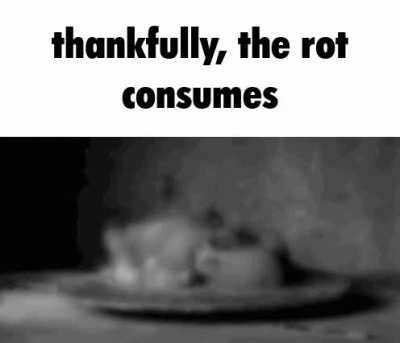 A very profound phrase that was ringing in my head when I woke up