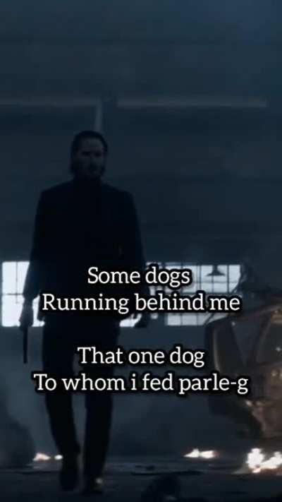 Are dogs loyal?<<<dogs are loyal