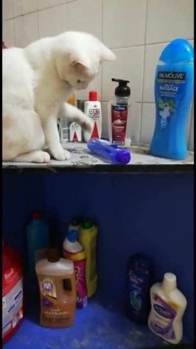 stop it! you little sly creature!